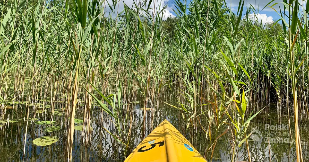 Kajakiem po Suwalszczyźnie z Gołdap Travel