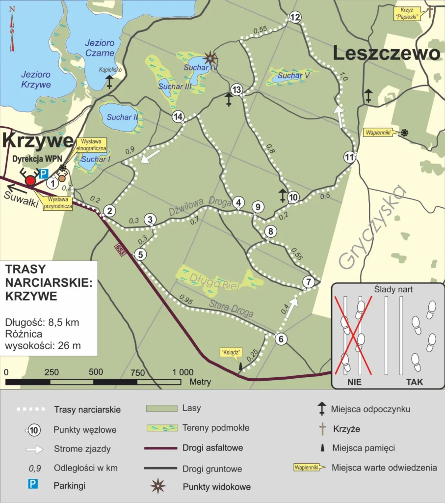 gdzie na narty suwalszczyzna