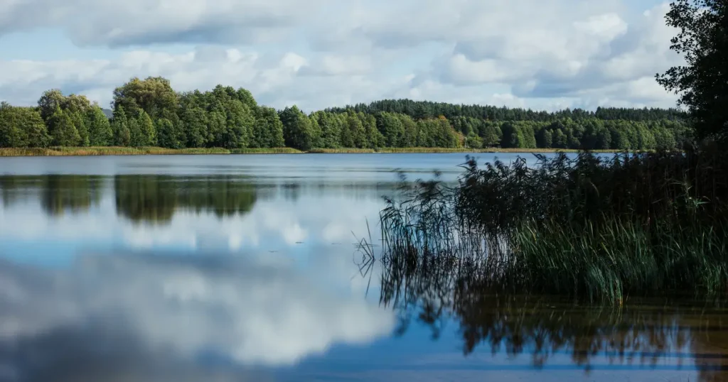 Ośrodek Dąbrówka