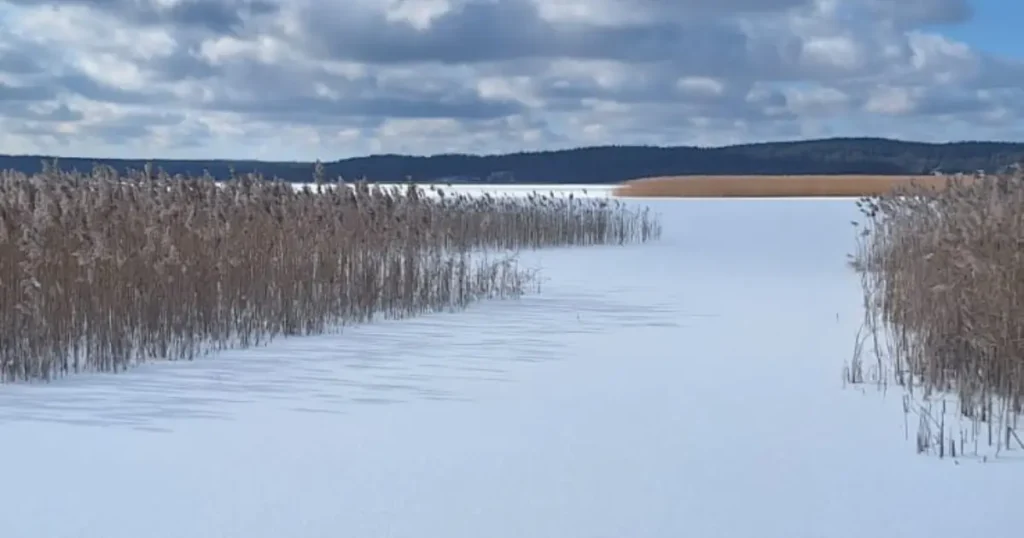 rosochate wzgórze