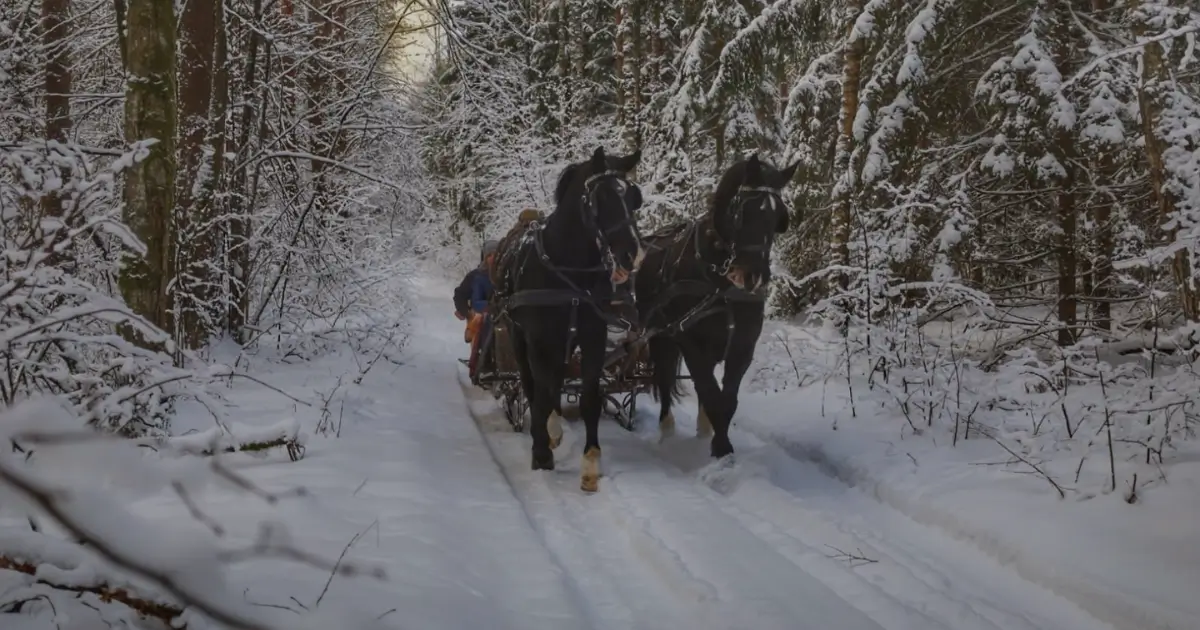 Zimowe atrakcje na suwalszczyźnie