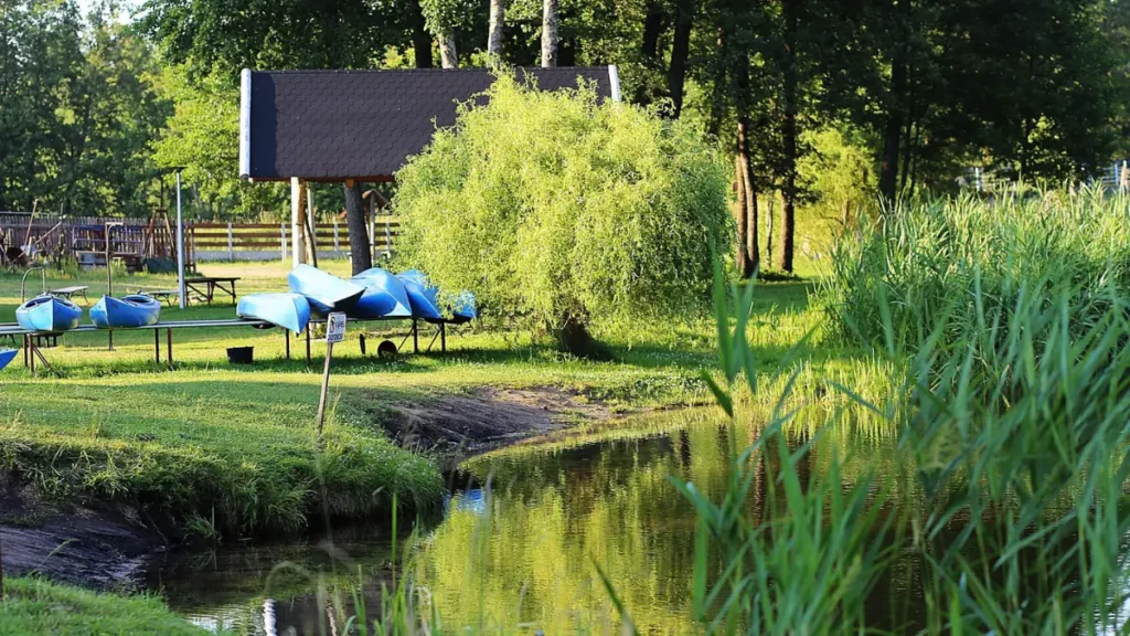 spływ kajakowy Czarną Hańczą